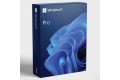 Microsoft Windows 11 Pro 64-Bit DVD – OEM (FQC-10528)