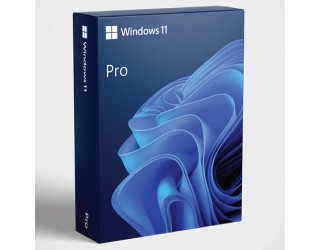Microsoft Windows 11 Pro 64-Bit DVD – OEM (FQC-10528)